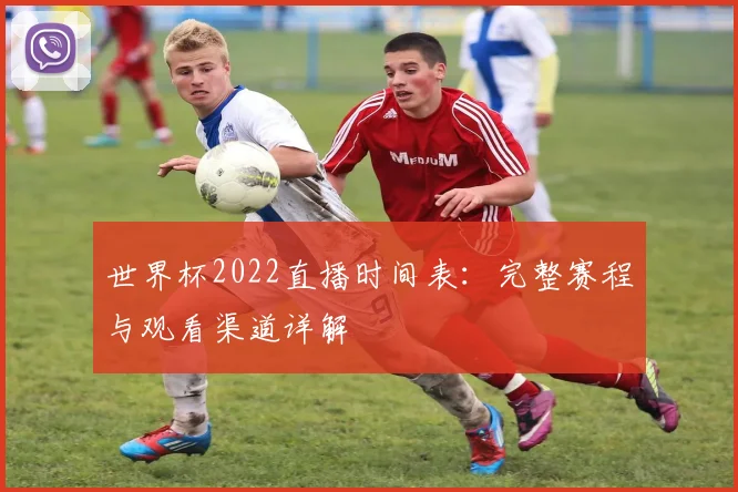 世界杯2022直播时间表:完整赛程与观看渠道详解
